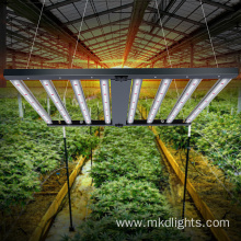 600 Watt 8bar Hemp LED Grow Lights